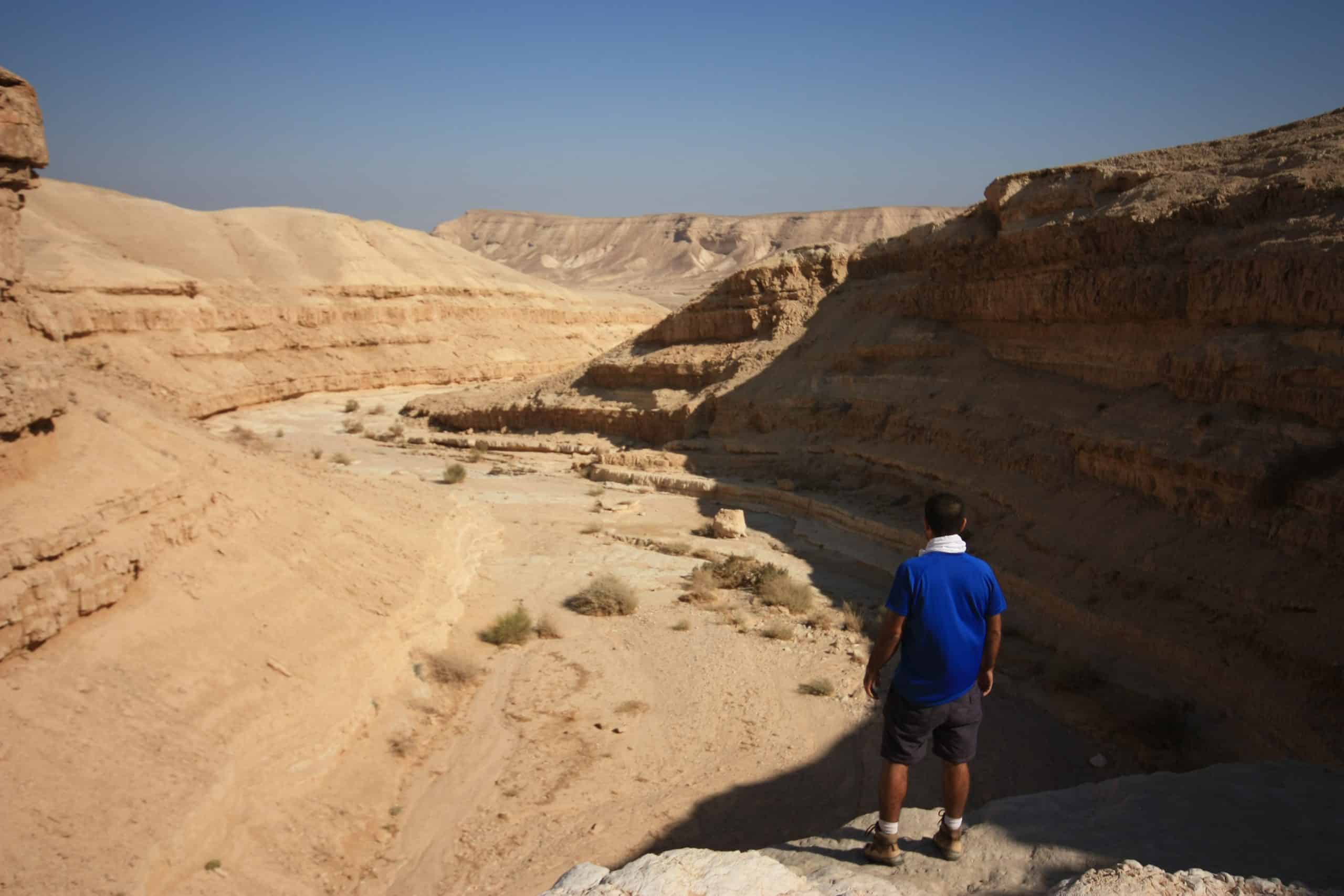 ים המלח בוקק