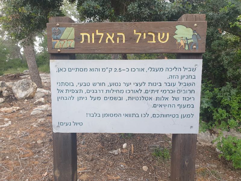 בריטניה פארק
