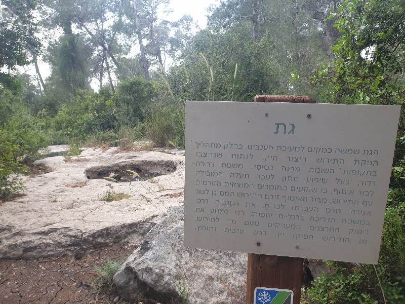 פארק בריטניה